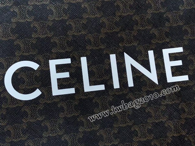 Celine專櫃2023新款手提托特包 191542 賽琳CABAS TRIOMPHE帆布小號豎款手袋 sldj2222